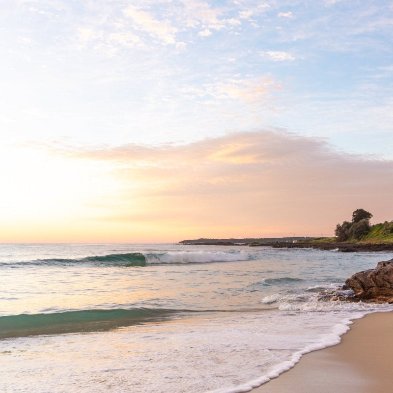 "Soft Light Over Cowries" Photography Print - Belinda Doyle - Australian Photographer & Resin Artist