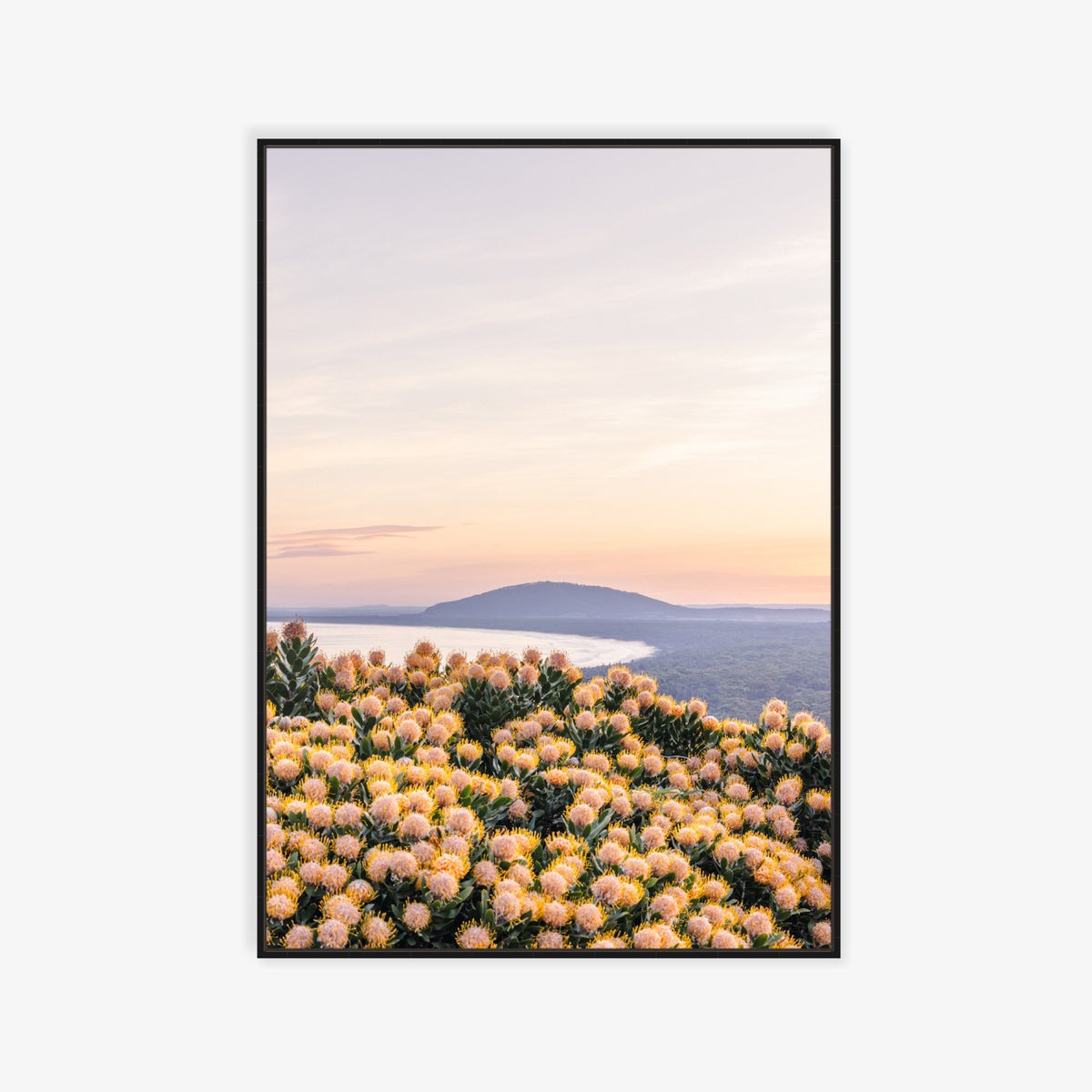 "She Blooms at Dusk" Photography Print - Belinda Doyle - Australian Photographer & Resin Artist