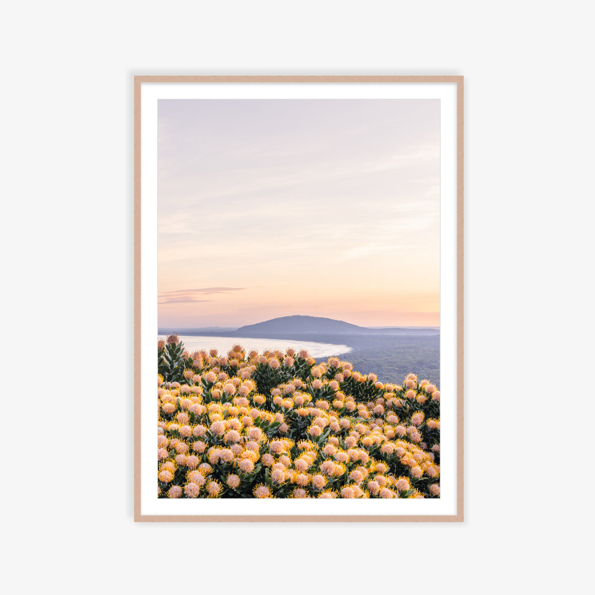 "She Blooms at Dusk" Photography Print - Belinda Doyle - Australian Photographer & Resin Artist
