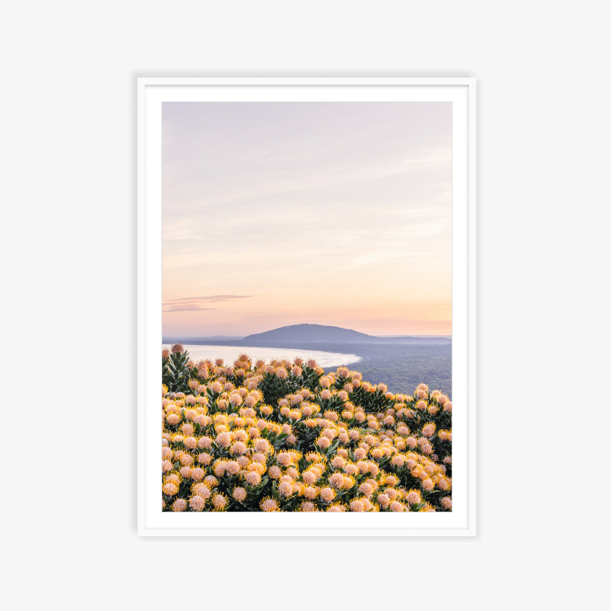 "She Blooms at Dusk" Photography Print - Belinda Doyle - Australian Photographer & Resin Artist