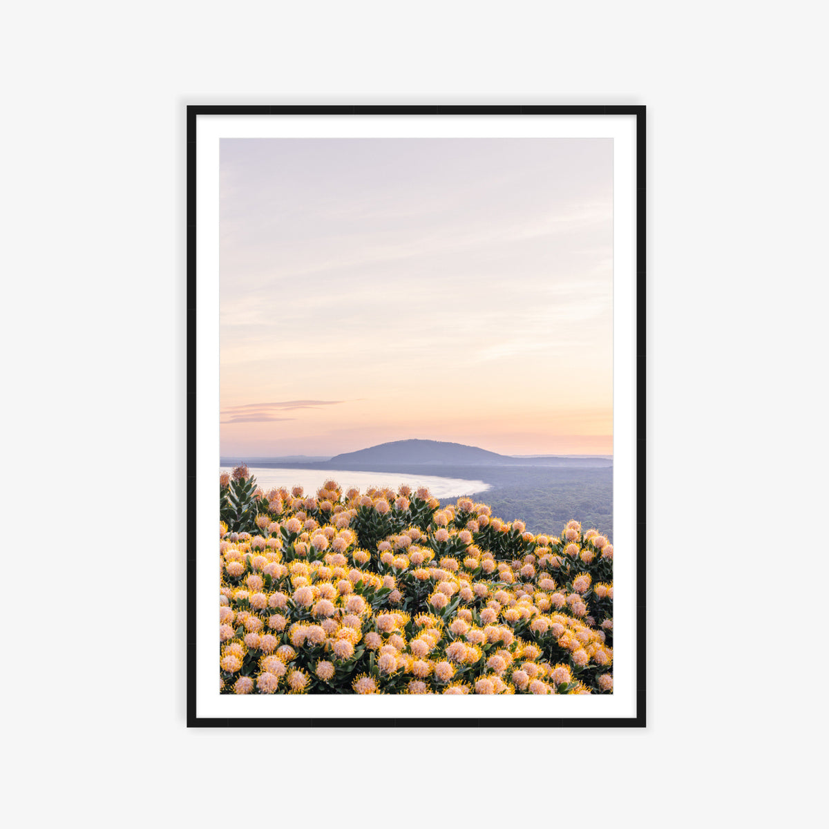 "She Blooms at Dusk" Photography Print - Belinda Doyle - Australian Photographer & Resin Artist