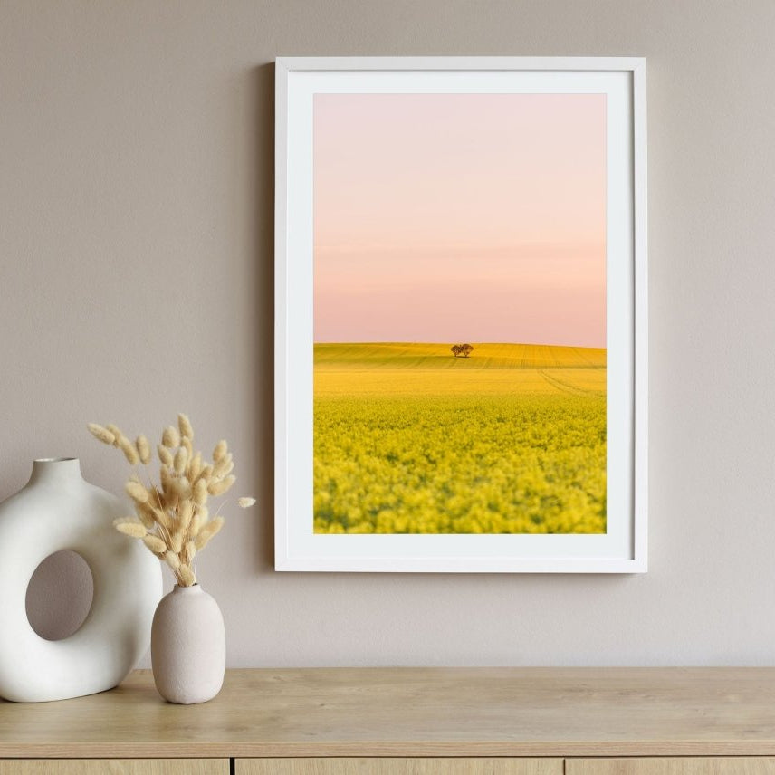 "Blush Over Canola" Photography Print - Belinda Doyle - Australian Photographer & Resin Artist