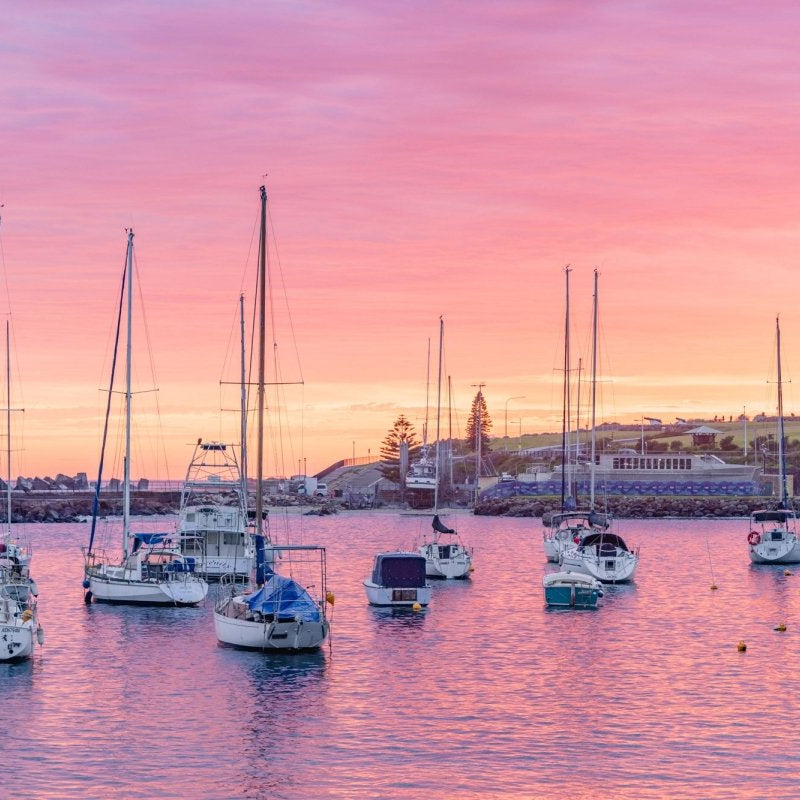 "Blush at Belmore" Photography Print - Belinda Doyle - Australian Photographer & Resin Artist