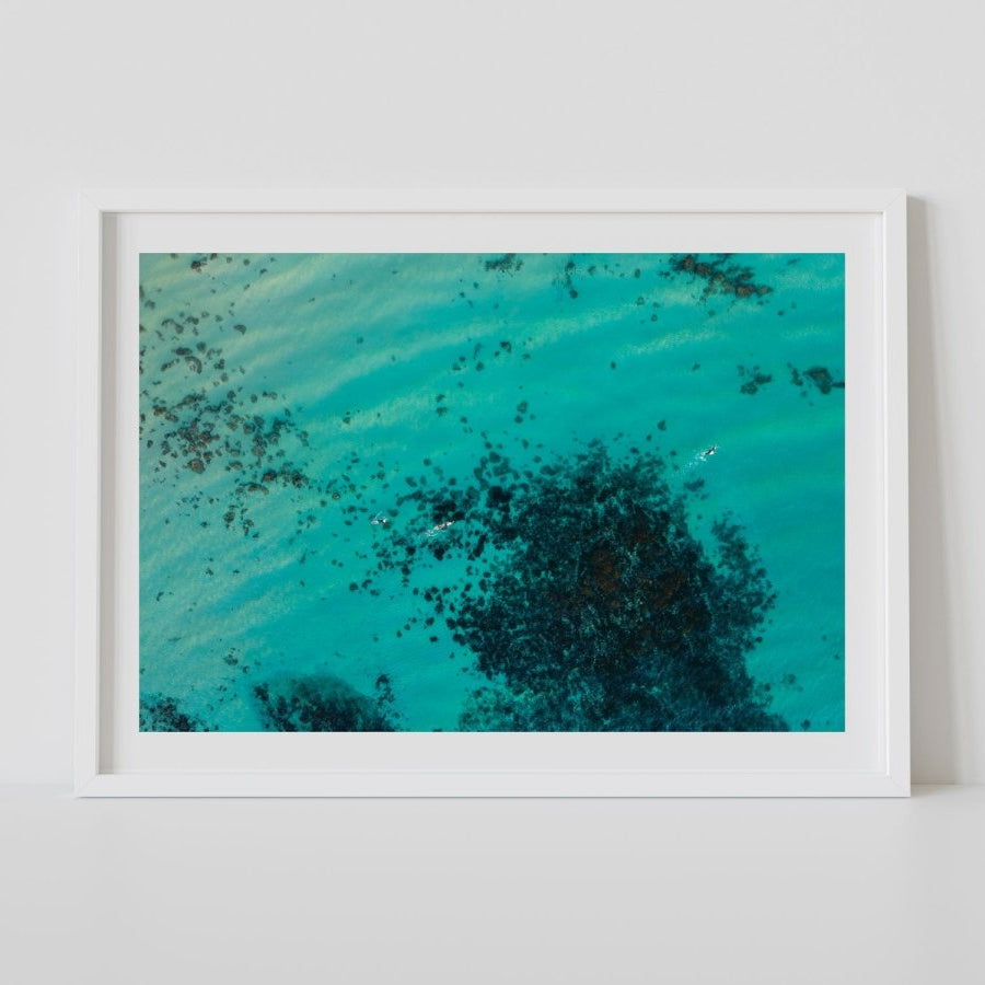 "Bold in Blue" Photography Print - Belinda Doyle - Australian Photographer & Resin Artist