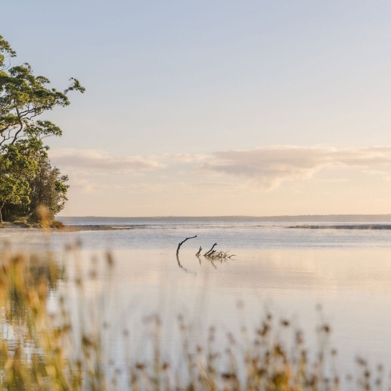 "Carried by the Tide" Photography Print - Belinda Doyle - Australian Photographer & Resin Artist