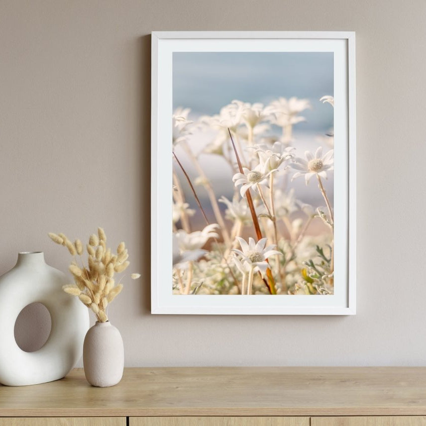 "Coastal Petals" Photography Print - Belinda Doyle - Australian Photographer & Resin Artist