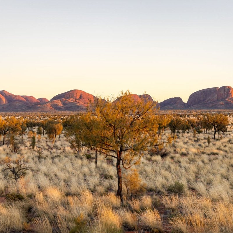 "Copper Dawn" Kata Tjuṯa Sunrise Photography Print - Belinda Doyle - Australian Photographer & Resin Artist