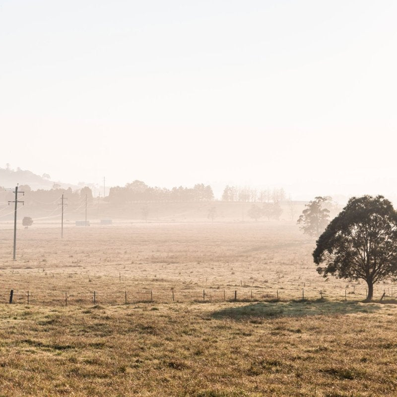 "Horizons of Berry" Photography Print - Belinda Doyle - Australian Photographer & Resin Artist
