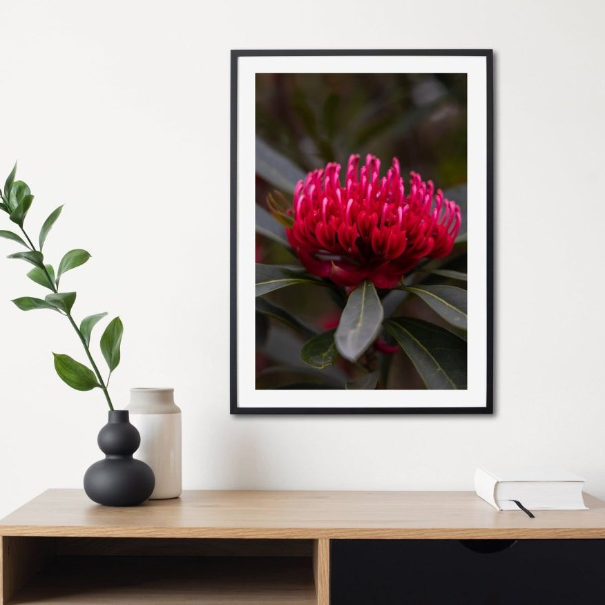 "In Full Bloom" Photography Print - Belinda Doyle - Australian Photographer & Resin Artist