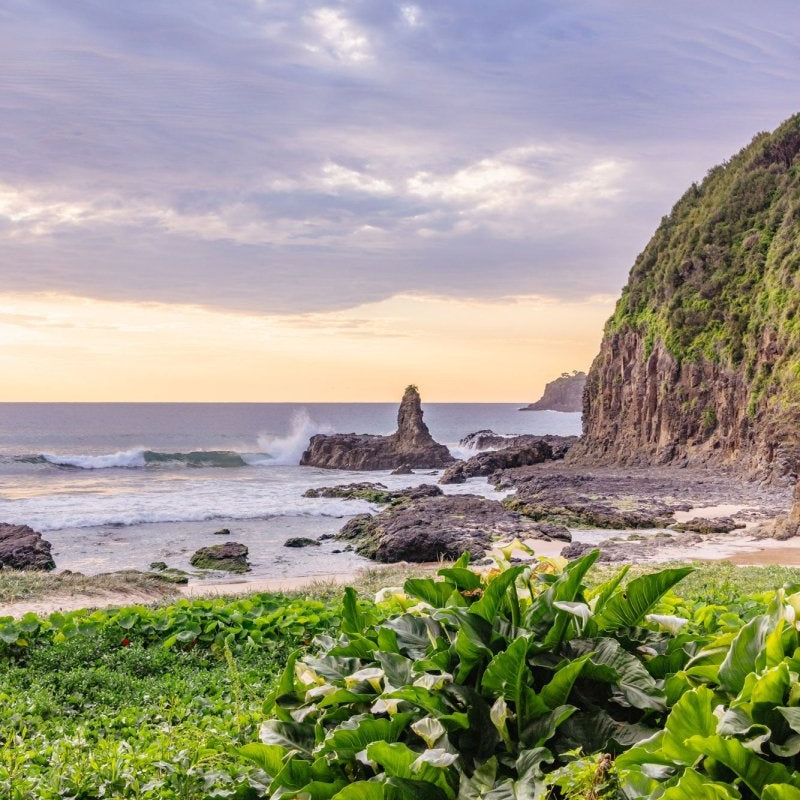 "Lily Fringe" Photography Print - Belinda Doyle - Australian Photographer & Resin Artist