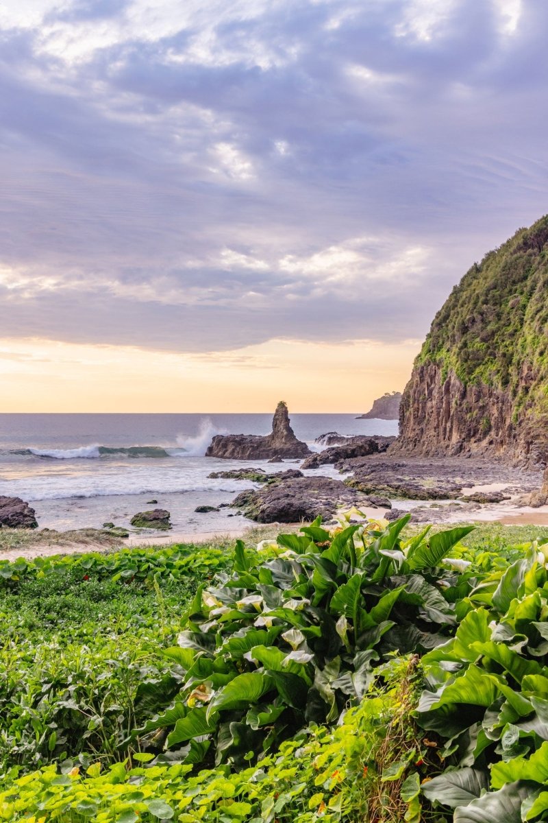 "Lily Fringe" Photography Print - Belinda Doyle - Australian Photographer & Resin Artist