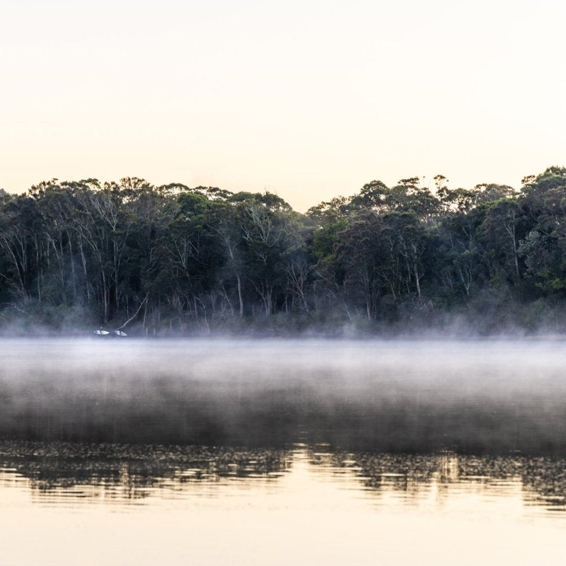"Misty Mystics" Photography Print - Belinda Doyle - Australian Photographer & Resin Artist