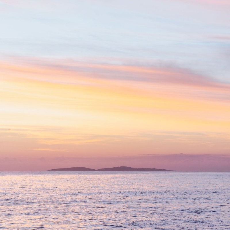 "Montague in Cotton Candy" Photography Print - Belinda Doyle - Australian Photographer & Resin Artist