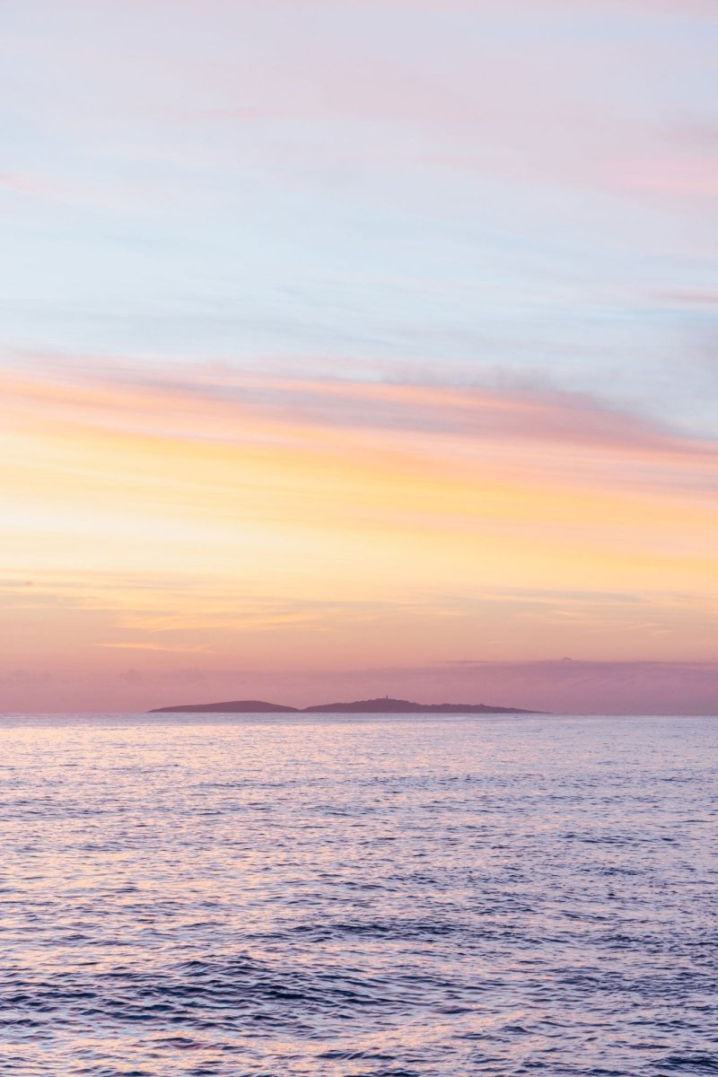 "Montague in Cotton Candy" Photography Print - Belinda Doyle - Australian Photographer & Resin Artist