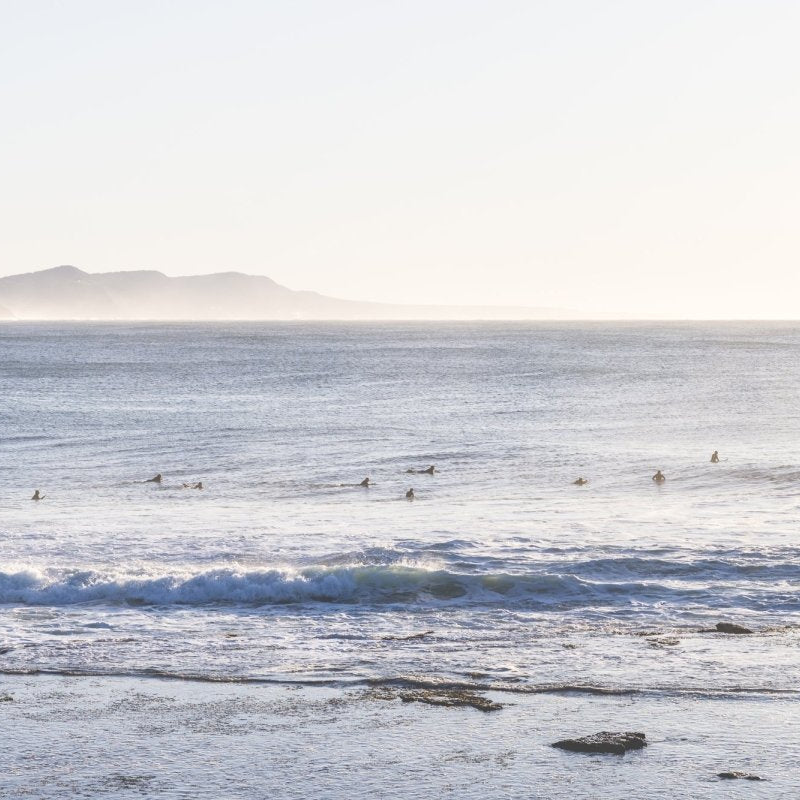"Morning Wait" Photography Print - Belinda Doyle - Australian Photographer & Resin Artist