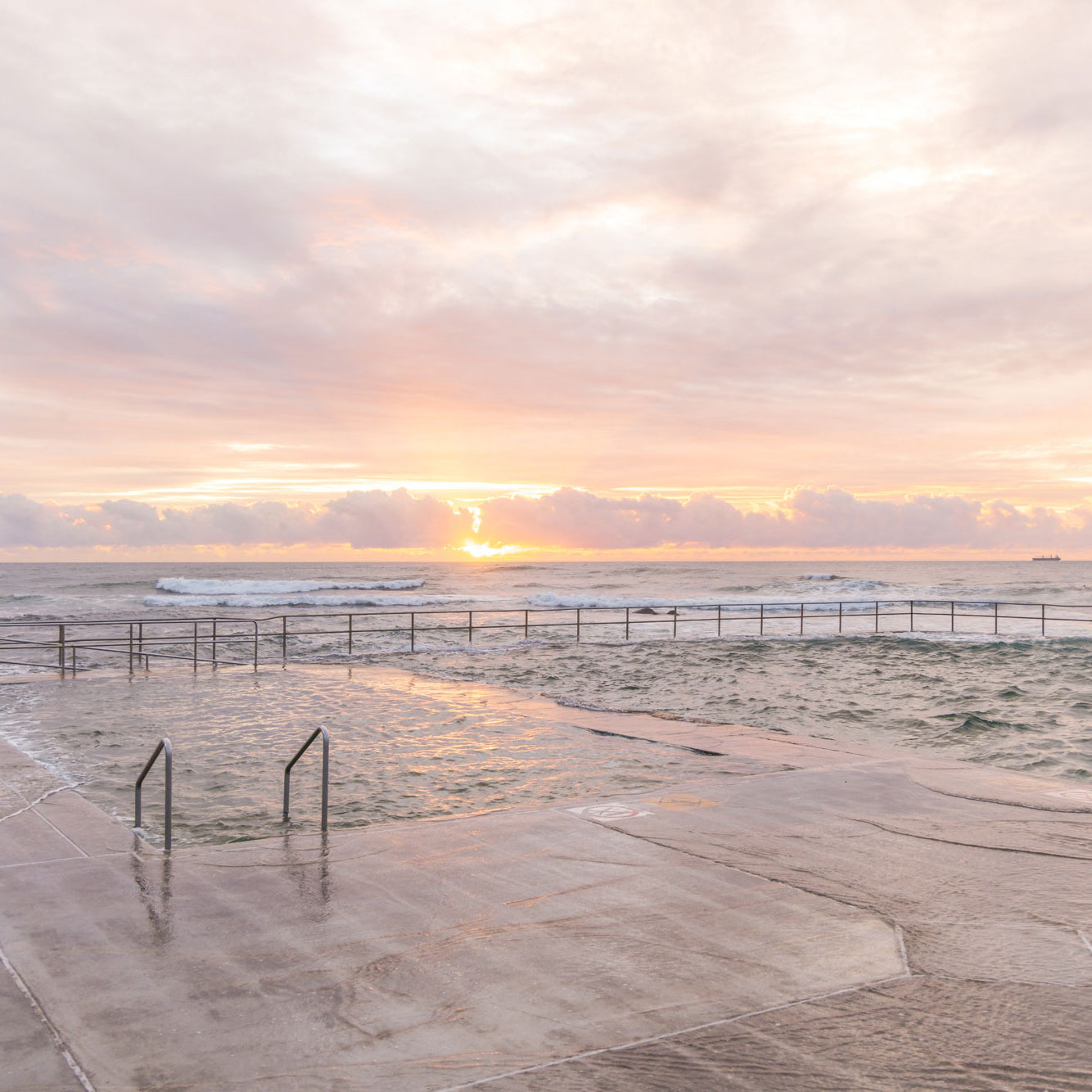 "Morning in Bloom" Photography Print - Belinda Doyle - Australian Photographer & Resin Artist
