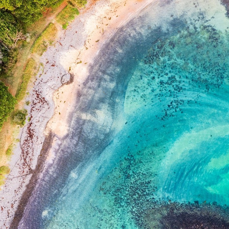 "Nature’s Graffiti" Photography Print - Belinda Doyle - Australian Photographer & Resin Artist