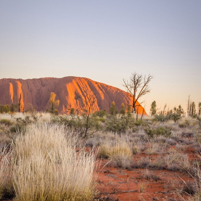 "Nature’s Portrait" Uluru Sunrise Photography Print - Belinda Doyle - Australian Photographer & Resin Artist