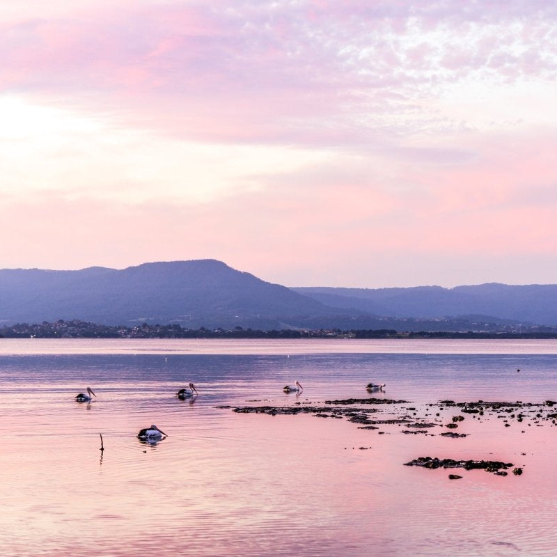 "Pelican Haven" Photography Print - Belinda Doyle - Australian Photographer & Resin Artist