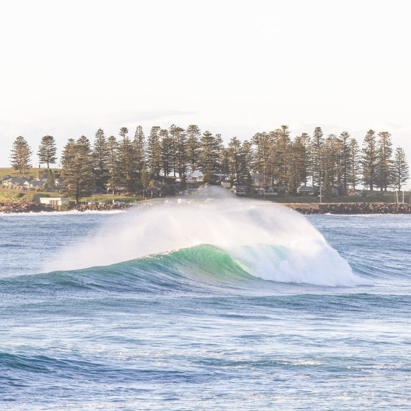 "Pines Over the Break" Photography Print - Belinda Doyle - Australian Photographer & Resin Artist