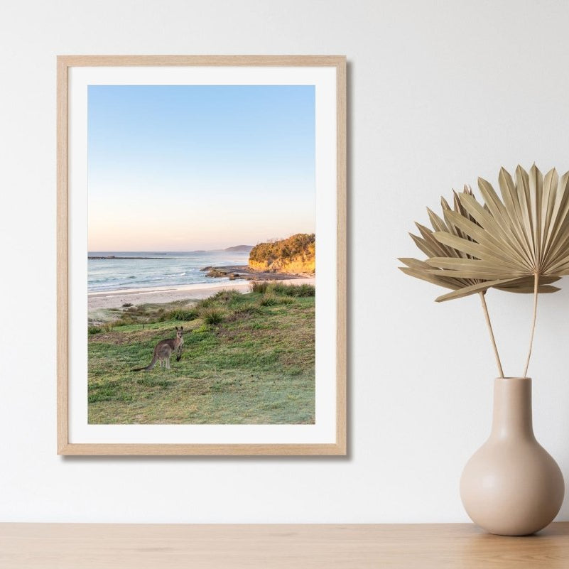 "Roo with a View" Kangaroo Photography Print - Belinda Doyle - Australian Photographer & Resin Artist