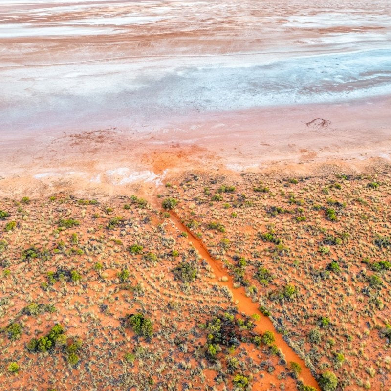 "Salt Scribbles" Photography Print - Belinda Doyle - Australian Photographer & Resin Artist