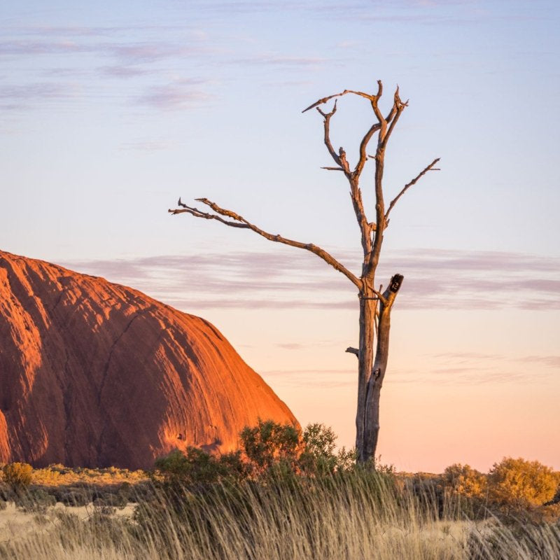 "Silent Witness" Uluru Sunrise Photography Print - Belinda Doyle - Australian Photographer & Resin Artist