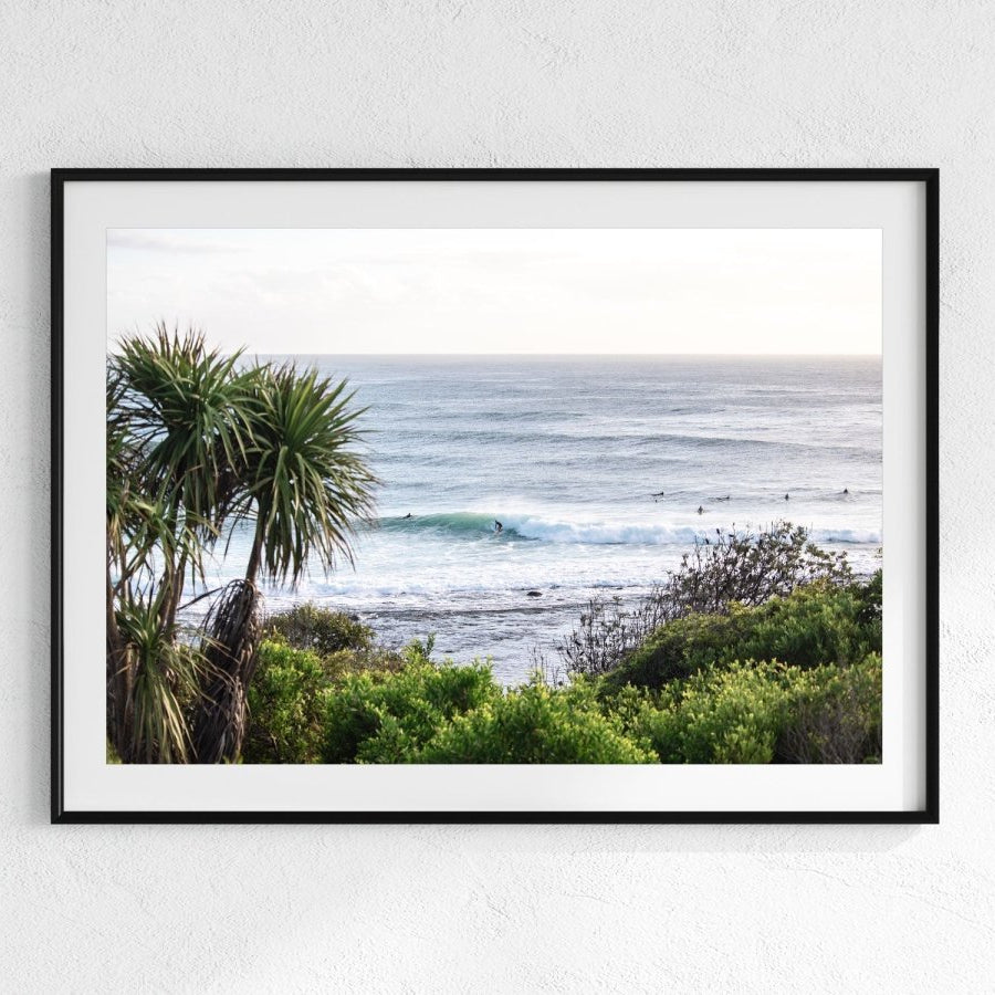 "Spiky Perspective" Photography Print - Belinda Doyle - Australian Photographer & Resin Artist