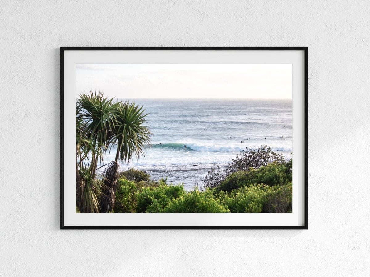 "Spiky Perspective" Photography Print - Belinda Doyle - Australian Photographer & Resin Artist