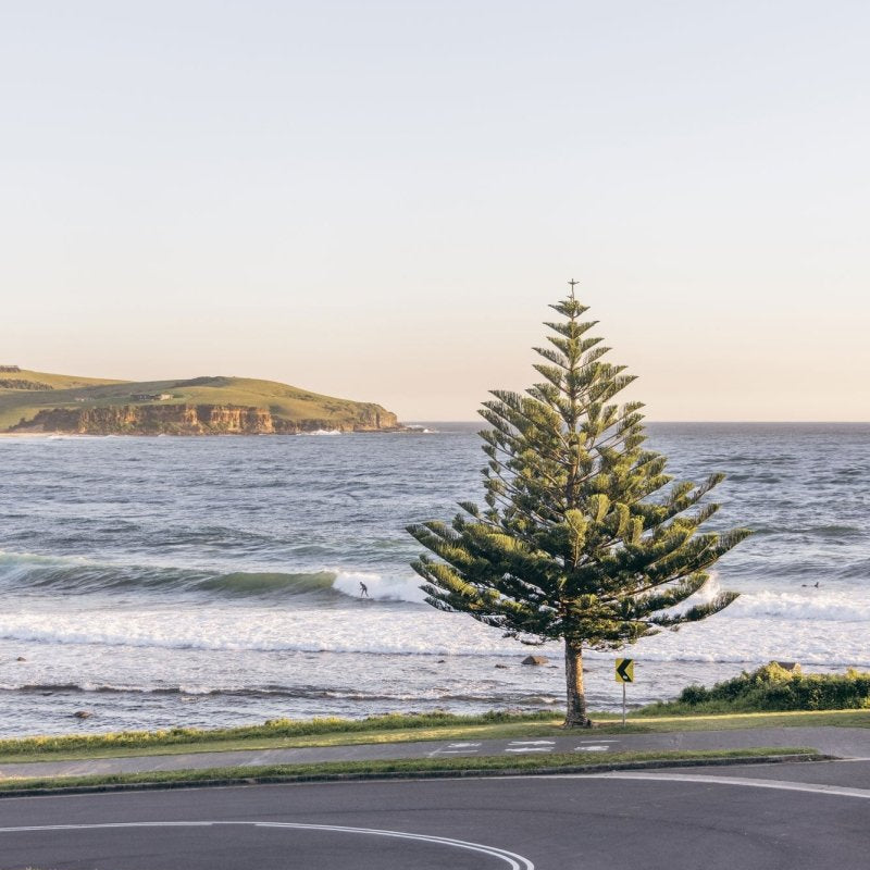 "Tasman Bend" Photography Print - Belinda Doyle - Australian Photographer & Resin Artist
