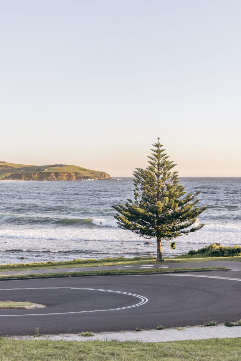 "Tasman Bend" Photography Print - Belinda Doyle - Australian Photographer & Resin Artist