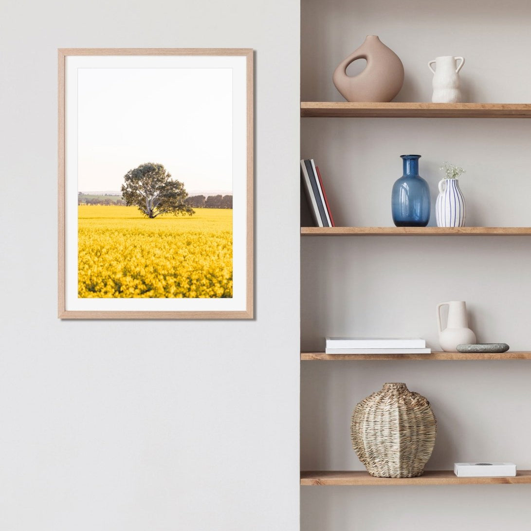 "The Radiant Stand" Photography Print - Belinda Doyle - Australian Photographer & Resin Artist