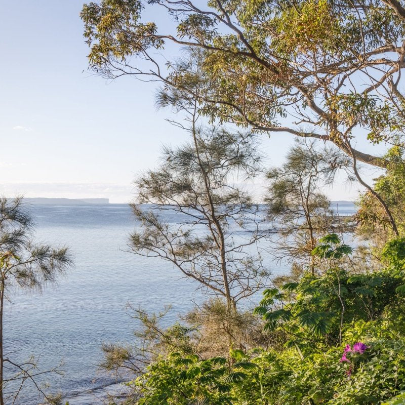 "Through the Bush to the Bay" Photography Print - Belinda Doyle - Australian Photographer & Resin Artist