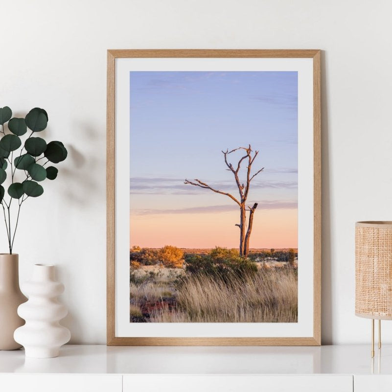 "Twisted Dawn" Photography Print - Belinda Doyle - Australian Photographer & Resin Artist