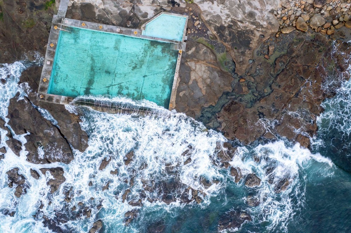 "Wandering Flippers" Photography Print - Belinda Doyle - Australian Photographer & Resin Artist