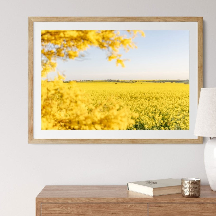 "Wattle’s Window" Photography Print - Belinda Doyle - Australian Photographer & Resin Artist