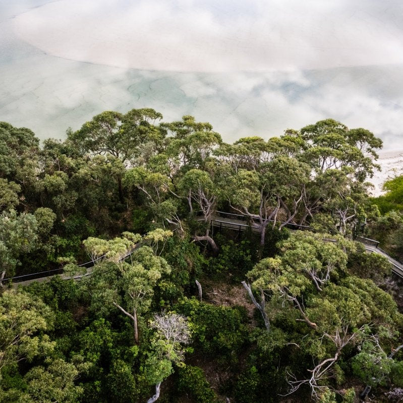 "Above the Tree Tops" Photography Print - Belinda Doyle - Australian Photographer & Resin Artist