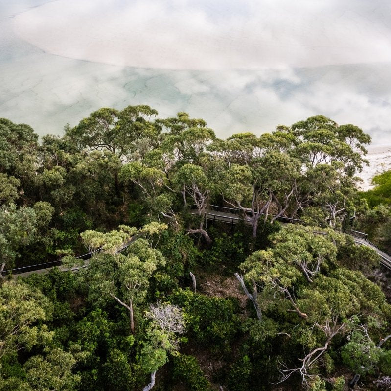 Conjola "Above the Tree Tops" Acrylic Block - Belinda Doyle - Australian Photographer & Resin Artist