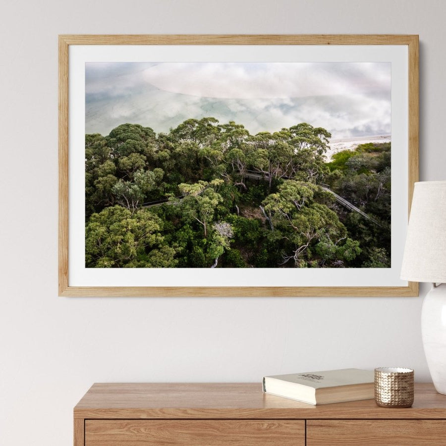 "Above the Tree Tops" Photography Print - Belinda Doyle - Australian Photographer & Resin Artist
