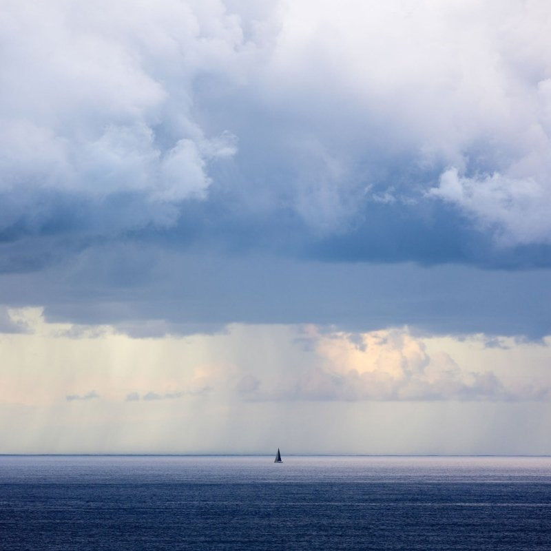 "A Fragile Journey" (P) Photography Print - Belinda Doyle - Australian Photographer & Resin Artist