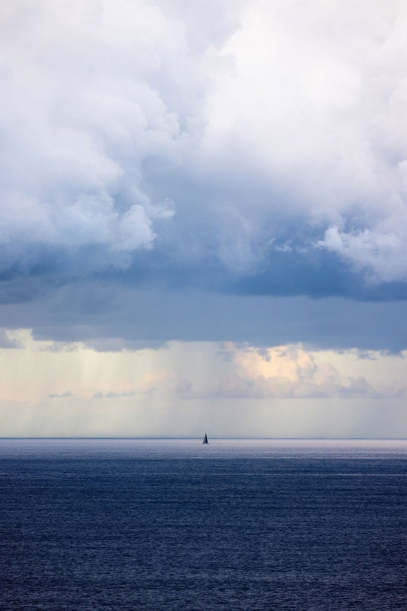 "A Fragile Journey" (P) Photography Print - Belinda Doyle - Australian Photographer & Resin Artist