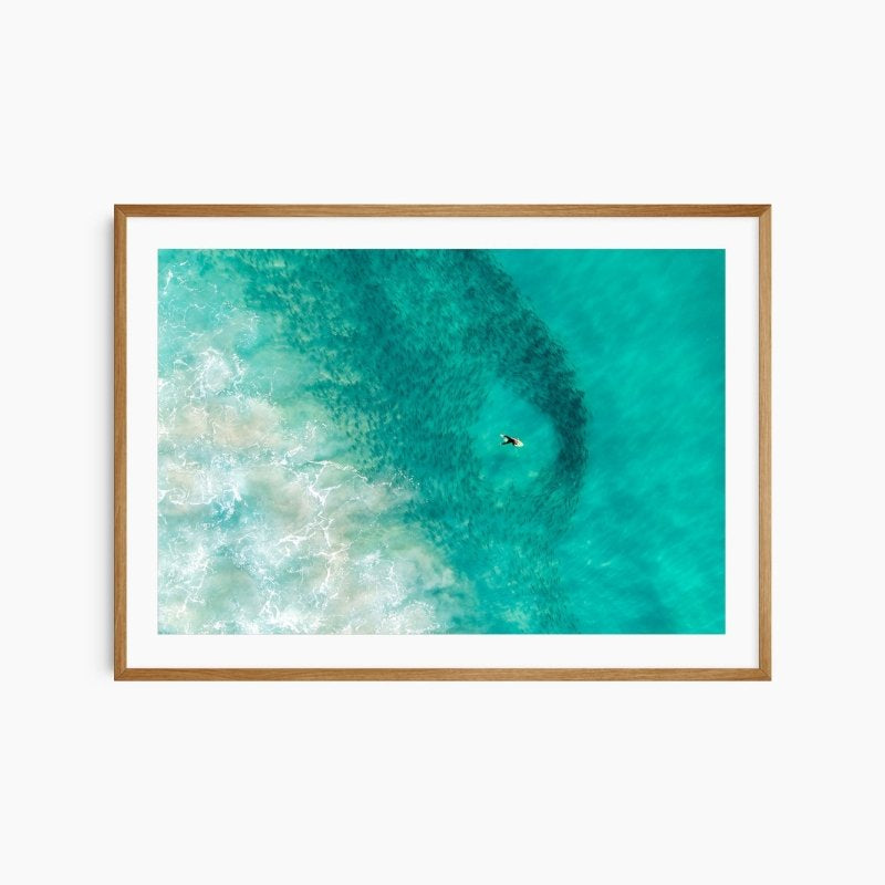 "Bait Ball Ballet" Photography Print - Belinda Doyle - Australian Photographer & Resin Artist