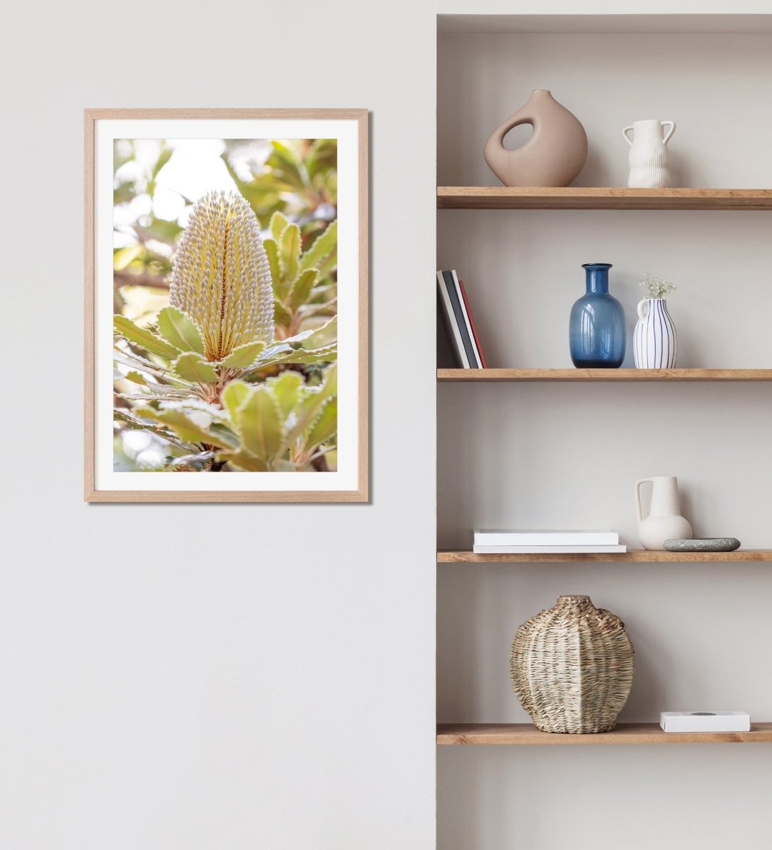 "Banksia Bloom" Photography Print - Belinda Doyle - Australian Photographer & Resin Artist