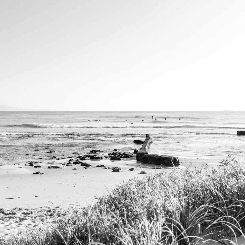 "Bellambi Bloom" BW Photography Print - Belinda Doyle - Australian Photographer & Resin Artist