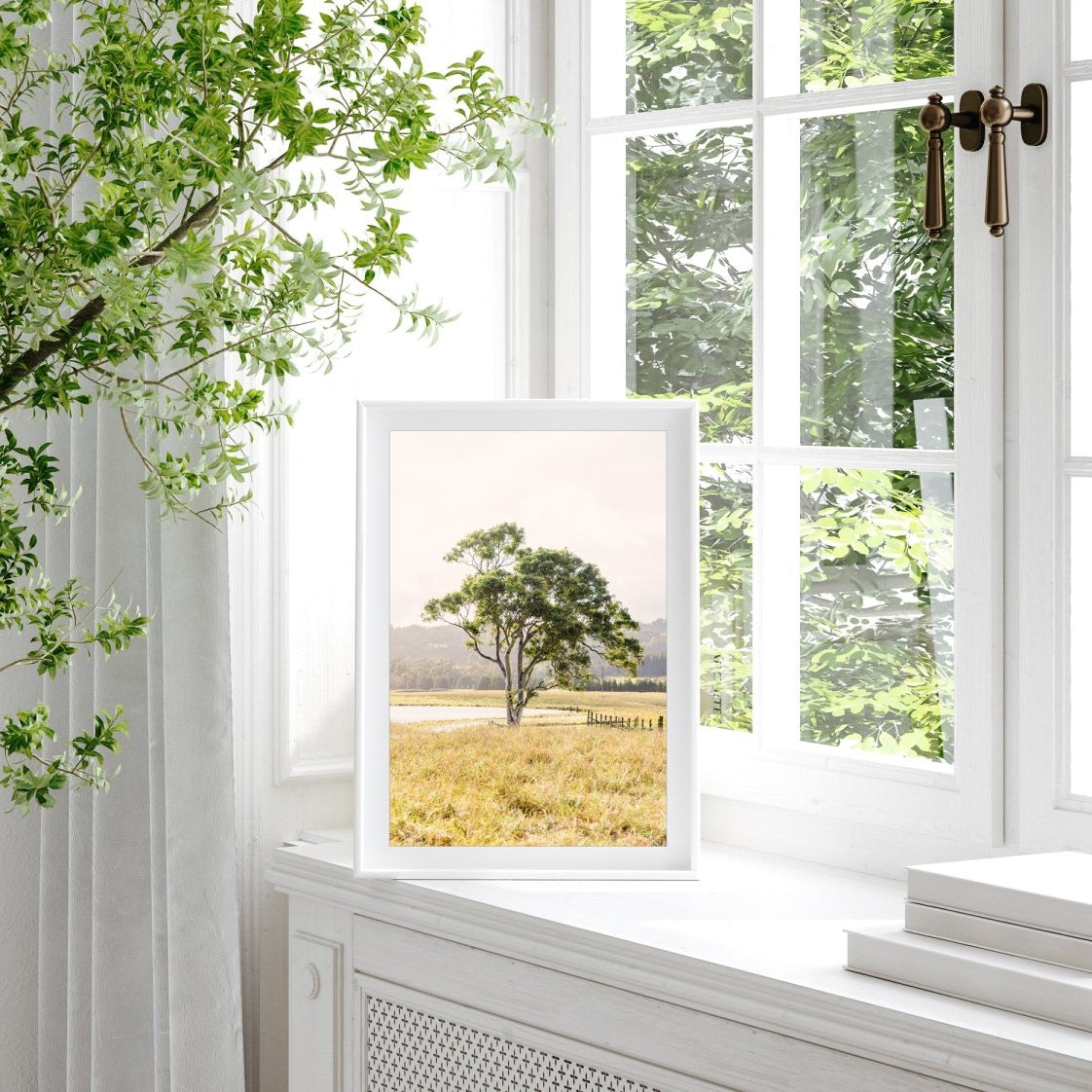 "Bendooley Gum" Photography Print - Belinda Doyle - Australian Photographer & Resin Artist