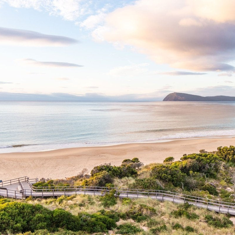 "Bruny Boardwalk" Photography Print - Belinda Doyle - Australian Photographer & Resin Artist