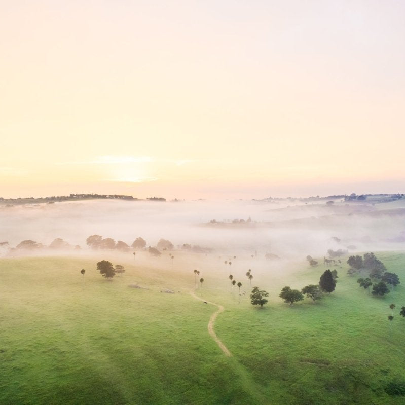 "Country Canvas" Photography Print - Belinda Doyle - Australian Photographer & Resin Artist