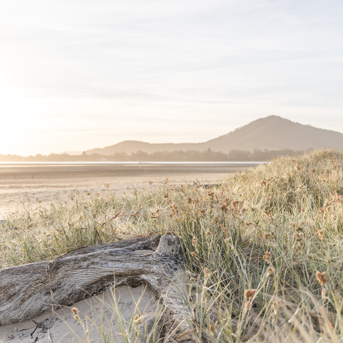"Driftwood Light" Photography Print - Belinda Doyle - Australian Photographer & Resin Artist