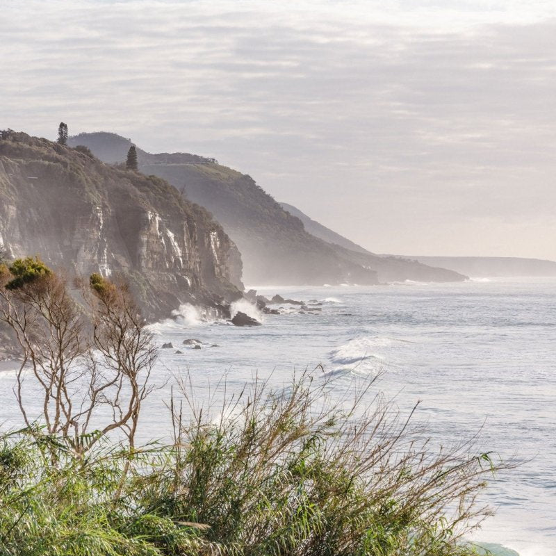 "Foliage View" Photography Print - Belinda Doyle - Australian Photographer & Resin Artist