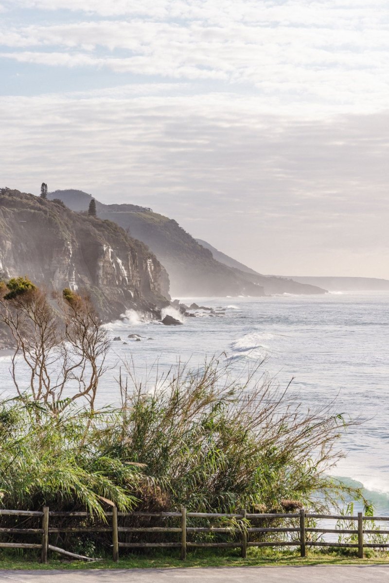 "Foliage View" Photography Print - Belinda Doyle - Australian Photographer & Resin Artist